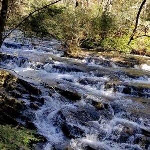 Meet your Posher, Diana